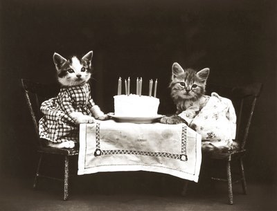 キティーシリーズバースデー・パーティー 1914年頃 （シルバープリント） 作： Harry Whittier Frees