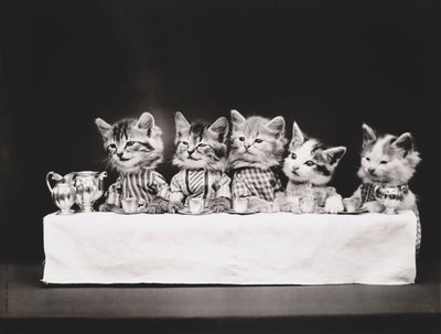 キティーシリーズ最後の晩餐 1914年頃（シルバープリント） 作： Harry Whittier Frees