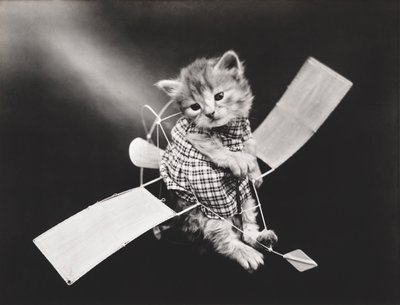 キティーシリーズ飛行機を飛ばすパイロット 1914年頃（シルバープリント） 作： Harry Whittier Frees