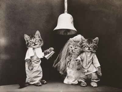 キティーシリーズウェディング 1914年頃 （シルバープリント） 作： Harry Whittier Frees
