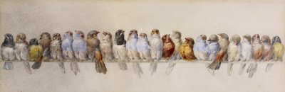 鳥のとまり木、1880年頃（紙に水彩とグラファイト） 作： Hector Giacomelli