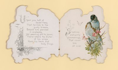 鳥（カラーリトグラフ 作： Hector Giacomelli