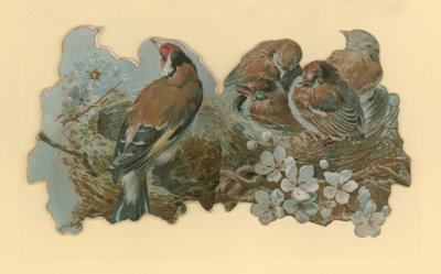 鳥 作： Hector Giacomelli