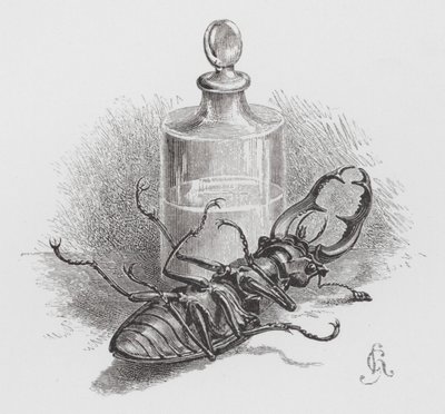 昆虫。死んだカブトムシ（彫刻 作： Hector Giacomelli