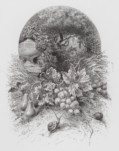 昆虫：カタツムリ（彫刻作品 作： Hector Giacomelli