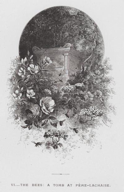 昆虫：ミツバチ、ペール・ラシェーズの墓（彫刻作品 作： Hector Giacomelli