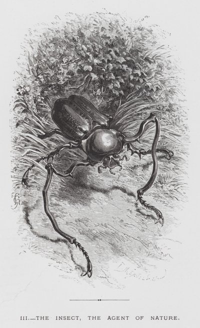昆虫：自然の代理人である昆虫（彫刻作品 作： Hector Giacomelli