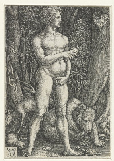 アダム 作： Heinrich Aldegrever