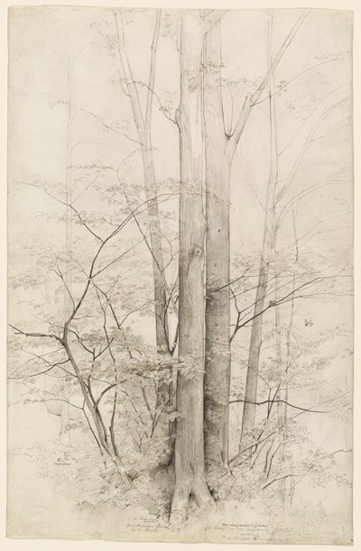 木のスタンド 作： Heinrich Dreber