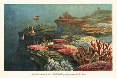 海底の太古のサンゴ礁。 作： Heinrich Harder