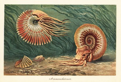 海を泳ぐ絶滅したアンモナイト。 作： Heinrich Harder