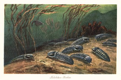 海底にいた絶滅した三葉虫。 作： Heinrich Harder