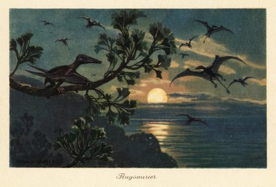 月明かりの中を飛んでいる Rhamphorhynchus 翼竜。 作： Heinrich Harder