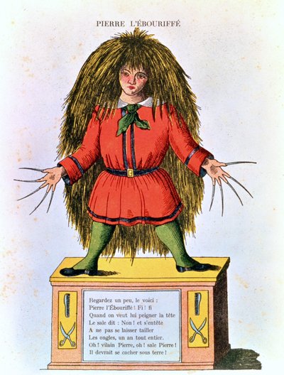 &39;Pierre l&39;Ebouriffe&39;、ホフマンの &39;Struwwelpeter&39;のフランス語訳のイラスト、トリム作（ルイ・ギュスターヴ・ラティスボン、1827-1900）、1850年頃 作： Heinrich Hoffmann
