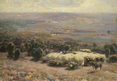 リューネブルガーハイデの羊の群れ、1902年 作： Heinrich Johann von Zugel