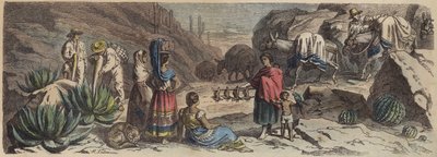 メキシコの山道（彩色済み彫刻 作： Heinrich Leutemann