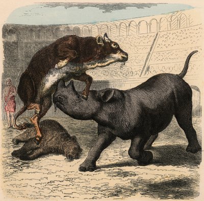 古代ローマ。アンフィシアターで戦う動物たち 作： Heinrich Leutemann