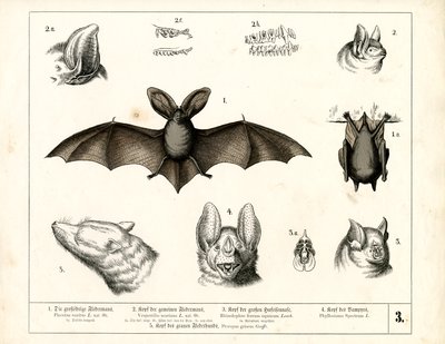  作： Heinrich Leutemann