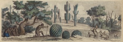 コロラド(カラー刻印) 作： Heinrich Leutemann