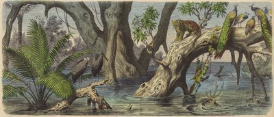 インド東部の洪水（カラー図版 作： Heinrich Leutemann