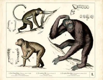  作： Heinrich Leutemann