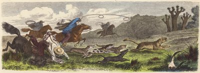 ブラジルでのラッソーを使ったピューマの狩猟（彩色済み彫刻 作： Heinrich Leutemann
