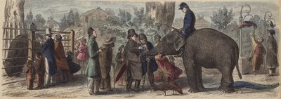 ドイツの動物園にて（彩色済み彫刻 作： Heinrich Leutemann