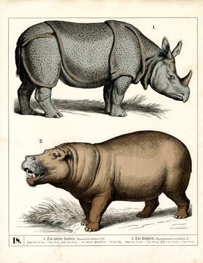  作： Heinrich Leutemann
