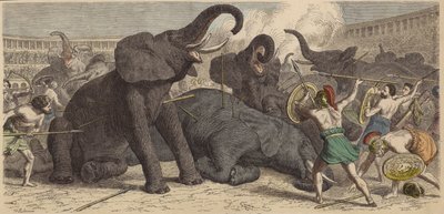 ローマの舞台で捕獲された象を殺害 作： Heinrich Leutemann