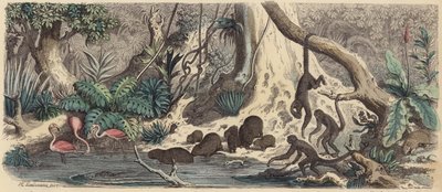 ギアナの川岸（彩色済み彫刻 作： Heinrich Leutemann