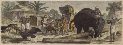 インド・ベンガルの風景（彩色画 作： Heinrich Leutemann