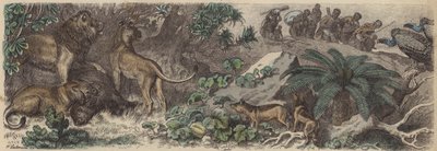 南アフリカ（彩色済み彫刻 作： Heinrich Leutemann
