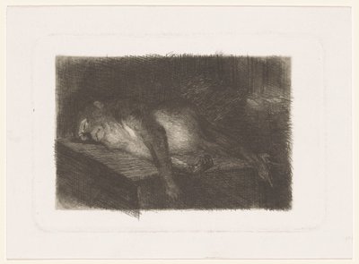 横たわる、眠る猿 作： Heinrich M. Krabbé