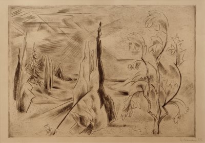 広い公園エリア 作： Heinrich Nauen
