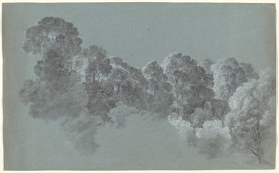 光に打たれた森の梢 作： Heinrich Rieter