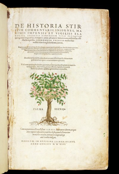 Rodolphe Speckle（d.1550）によって刻まれたLeonard Fuchs（1501-66）による &39;De Historia Stirpium Commentarii Insignes&39;のタイトルページ、1542年公開 作： Heinrich and Meyer, Albert Fullmaurer