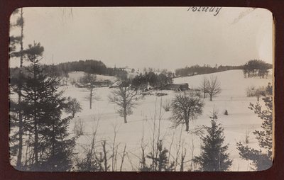 第一次世界大戦：「1914年から1916年にかけてのドイツ軍侵攻時のウクライナ。雪のある風景（モノクロ写真 作： Heldenfriedhof Dsessentniki (attr. to)