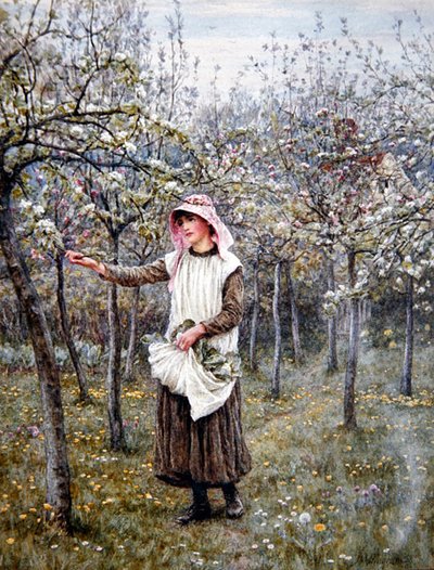 ブロッサム・タイム（水彩・紙） 作： Helen Allingham
