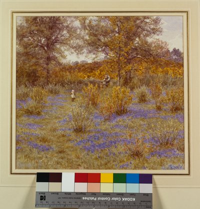 ブルーベルコプス、1889年 作： Helen Allingham