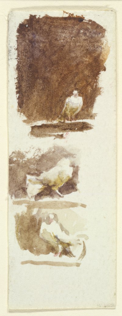 鳩（紙にトイレ） 作： Helen Allingham