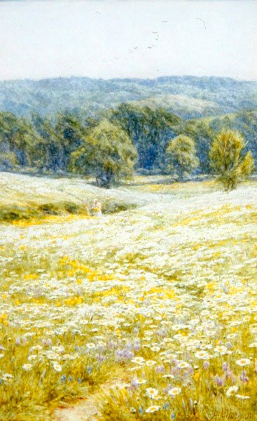 ケント州ウェスタハム近郊のオックスアイデイジー（水彩・紙 作： Helen Allingham