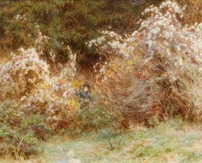 Travellers Joy：A Surrey Hedgerow（紙にトイレ） 作： Helen Allingham
