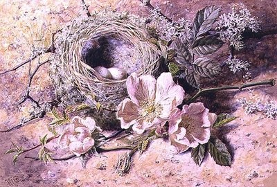 花と鳥の巣（水彩・紙 作： Helen Cordelia Coleman Angell