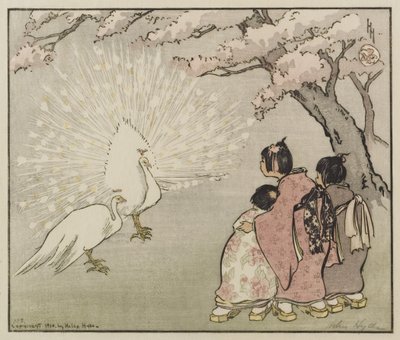 白孔雀、1914年（木版画の色） 作： Helen Hyde
