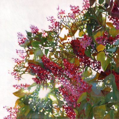 アグロ、2015 作： Helen White