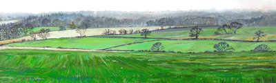 ファーリー・ヒルの頂上から、2008年 作： Helen White