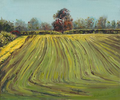 溝、2008 作： Helen White