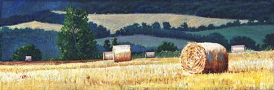 丘の中腹にあるHaybales、2012年、 作： Helen White