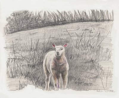 ランビー, 2016 作： Helen White