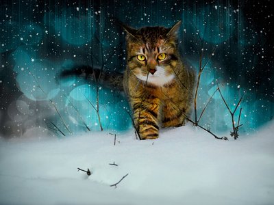 トラックを作る、2019年（合成絵画） 作： Helen White